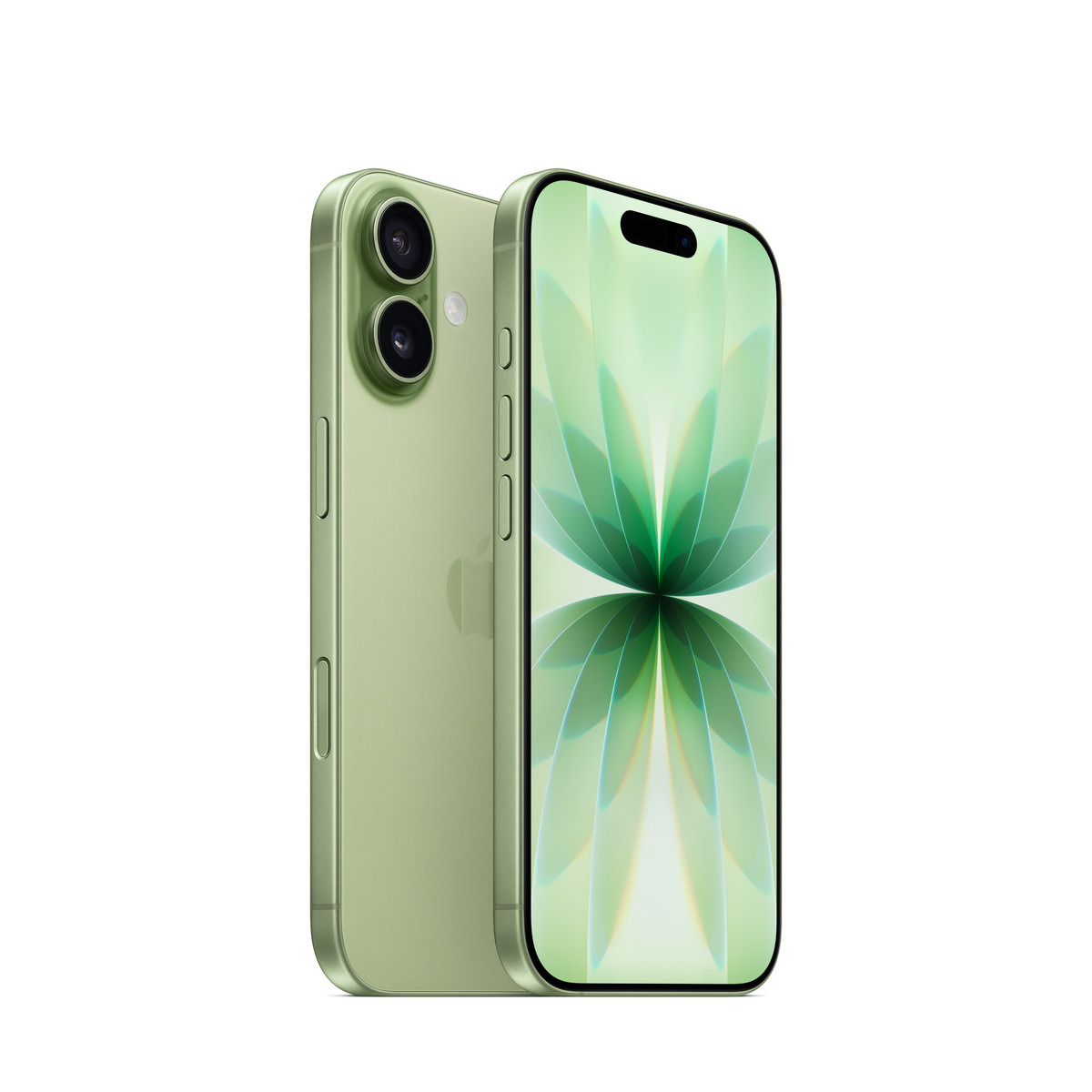 Apple iPhone 17 256 GB Salbei – Wie neu OBV, 12 Monate Backzert-Garantie